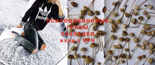тгк Балахна